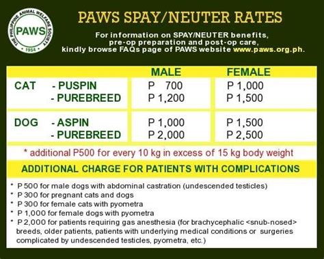 how much is spaying a cat in philippines|PRICE LIST .